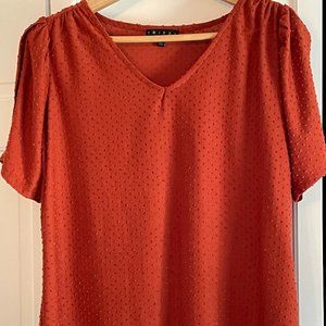 Francesca's Pumpkin Color Top